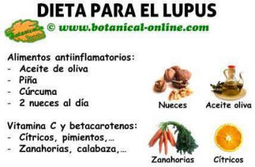 dieta para el lupus, alimentos