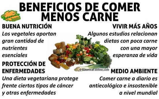 beneficios de no comer carne dieta vegetariana