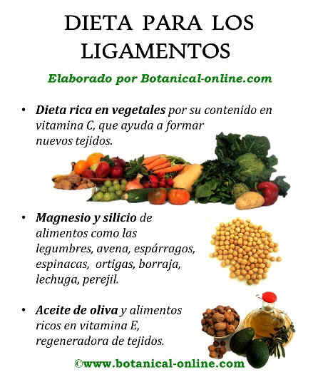 Dieta para los ligamientos