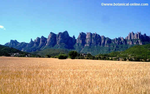 Montañas de Montserrat, España