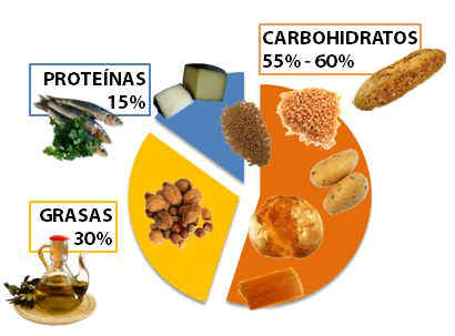 Nutrición y dieta mediterránea