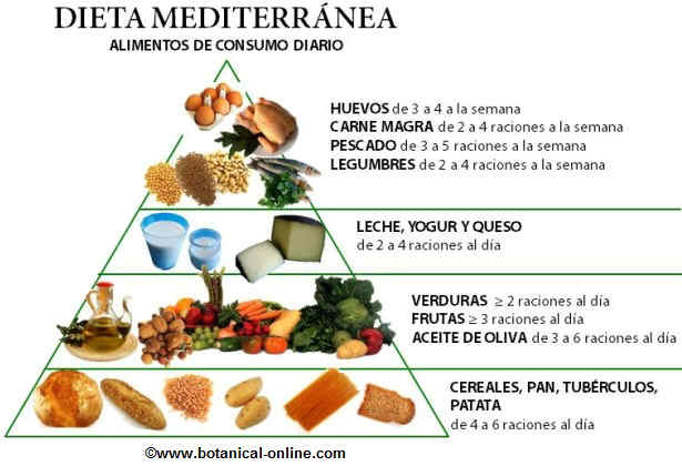 piramide nutricional dieta mediterranea