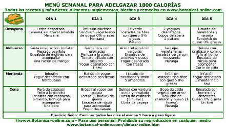 Programa bajar de peso