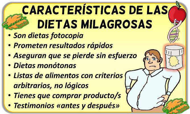 caracteristicas dietas milagro definicion