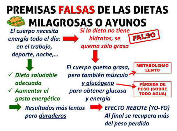 presmisas falsas teoria dietas para adelgazar metodo 