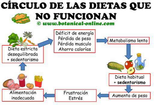 círculo de las dietas que no funcionan