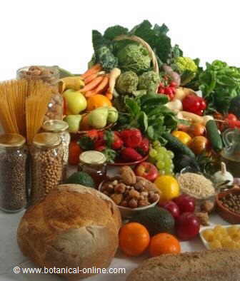 dieta saludable vegetariana