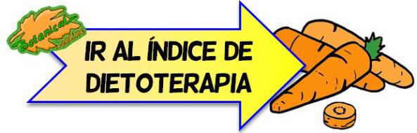 dietoterapia indice dietas curativas