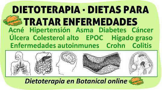 dietoterapia dietas para curar enfermedades