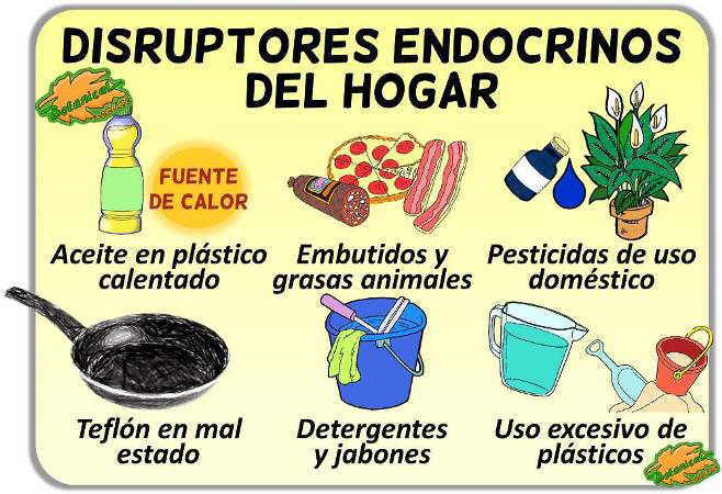 ejemplos disruptores endocrinos alimentos hogar teflon detergentes pesticidas