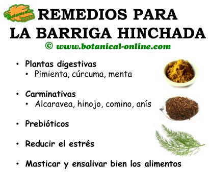 remedios con plantas para la barriga hinchada, distensión abdominal y tener vientre plano