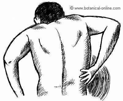 dolor en el costado