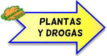 drogas