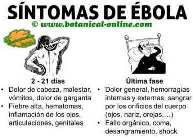 sintomas de enfermedad por virus ebola