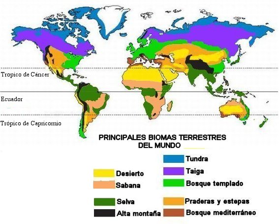 Ecosistemas terrestres