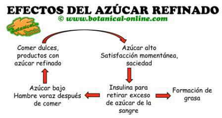 digestion del azucar, efectos del azúcar, hipoglucemia, insulina y azucar refinada