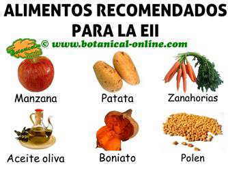 alimentos para eii