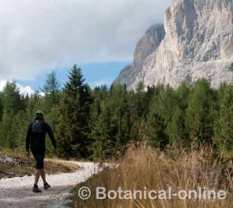 Ejercicio físico por la montaña, hombre andando con paisaje