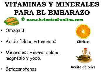 vitaminas y minerales en el embarazo