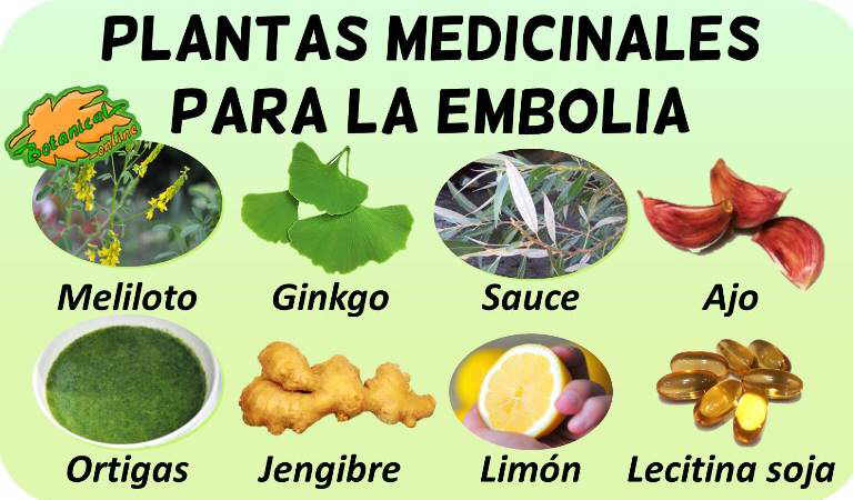 remedios embolia tratamiento natural plantas medicinales