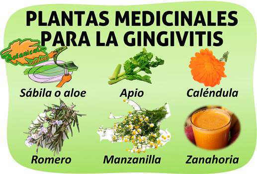 remedios naturales gingivitis o encias sangrantes