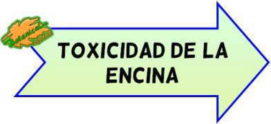 toxicidad de la encina