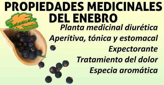 propiedades medicinales del enebro juniperus