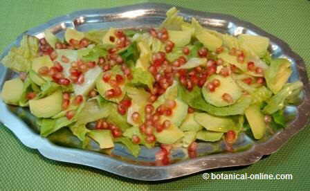 Ensalada de aguacate y granada