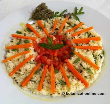 Ensalada de cous cous