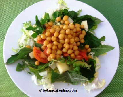 Ensalada con garbanzos