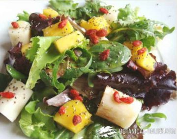 ensalada tropical