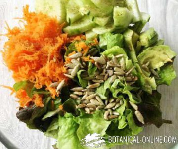 ensalada con semillas de girasol