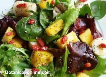 ensalada con espinacas chia bayas goji