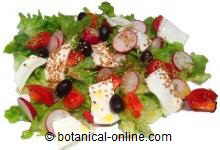 Ensalada con queso rabanitos y tomates