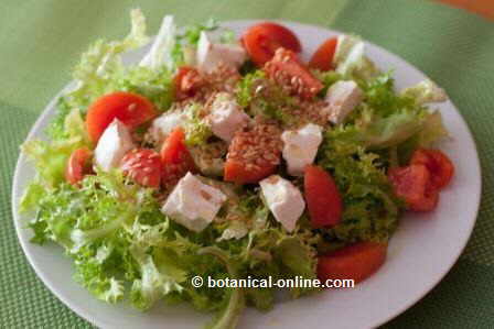 ensalada queso linaza tomate