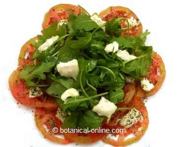 foto receta de ensalada de tomate, queso de cabra y rúcula