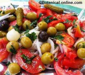 ensalada tomate ajo perejil