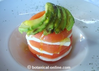 Presentación de receta ensalada tricolor, tomate, queso y aguacate