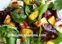 Ensalada con fruta