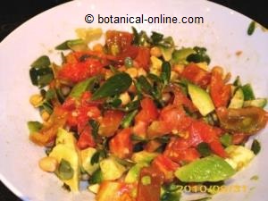 ensalada con verdolaga, tomate, aguacate