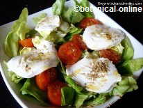 ensalada con mozzarella