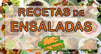 recetas de ensaladas