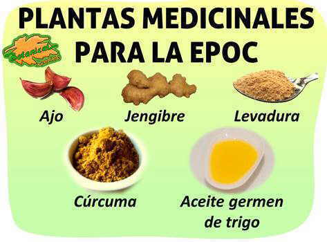 plantas medicinales y suplementos tratamiento natural enfermedad obstructiva crónica EPOC