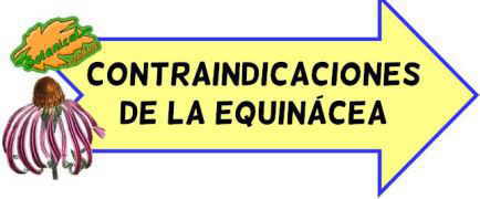 contraindicaciones equinacea