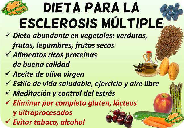 dieta para la esclerosis multiple dietoterapia alimentacion alimentos recomendados