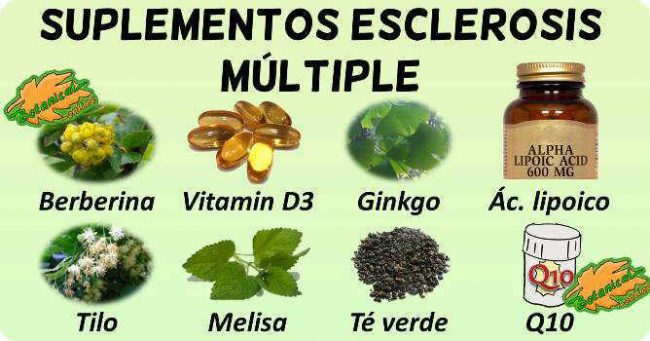 tratamiento natural esclerosis multiple plantas medicinales y remedios