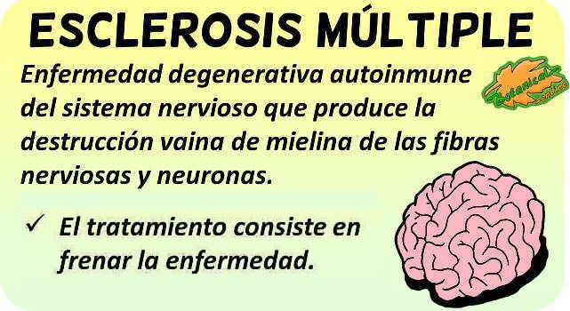esclerosis múltiple