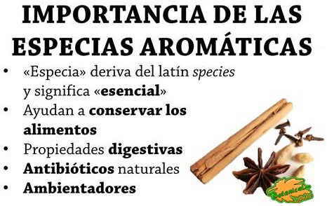 Todas las especias y hierbas aromáticas