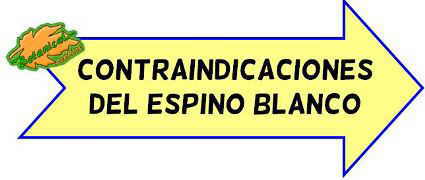 contraindicaciones espino blanco