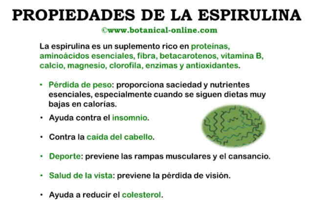 Propiedades de la espirulina